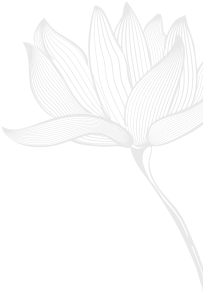 sfondo form